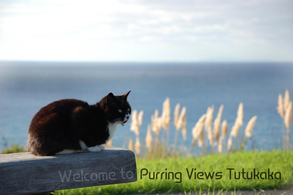 Ocean Purring Views Hotel Тутукака Екстериор снимка